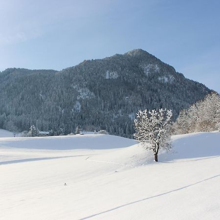 Ferienhaus Weber-Haeusl Reith im Alpbachtal Εξωτερικό φωτογραφία