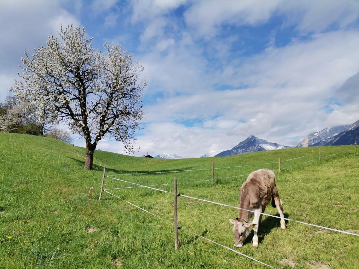 Ferienhaus Weber-Haeusl Reith im Alpbachtal Εξωτερικό φωτογραφία