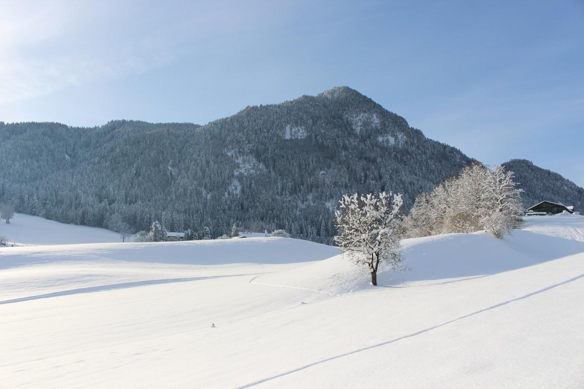 Ferienhaus Weber-Haeusl Reith im Alpbachtal Εξωτερικό φωτογραφία